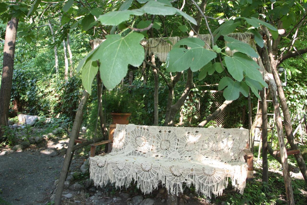 Robinson Crusoe Βίλα Lagodekhi Εξωτερικό φωτογραφία
