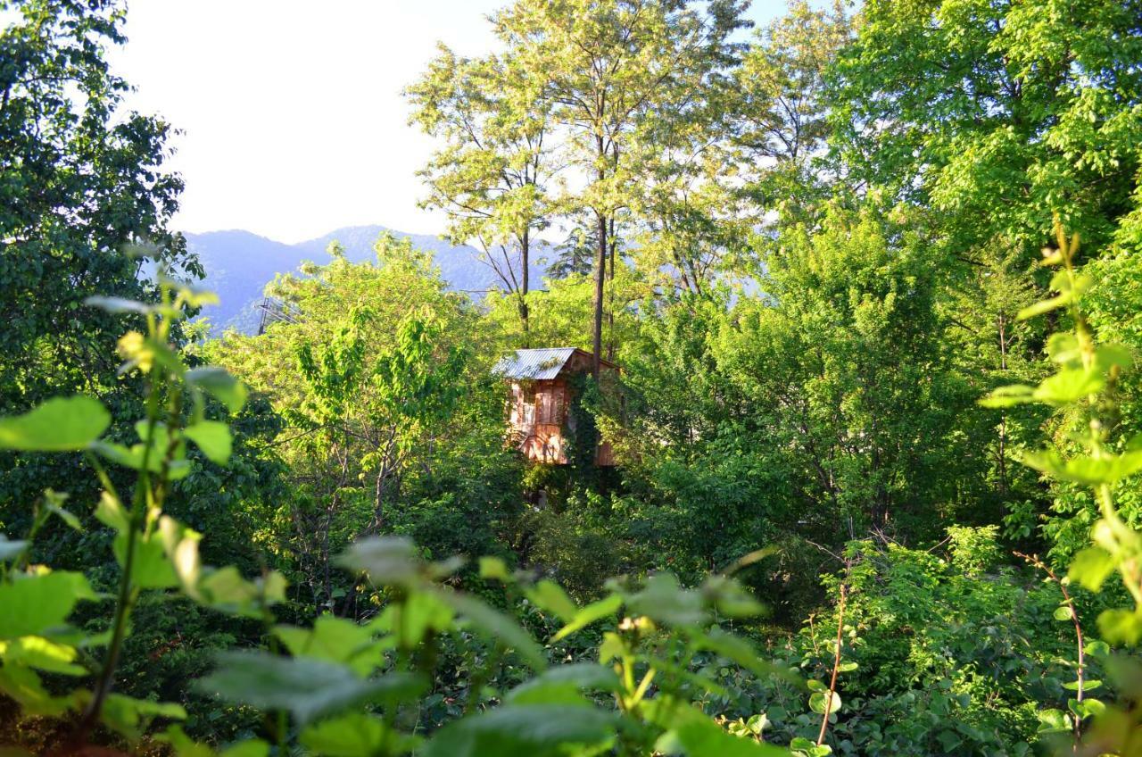 Robinson Crusoe Βίλα Lagodekhi Εξωτερικό φωτογραφία